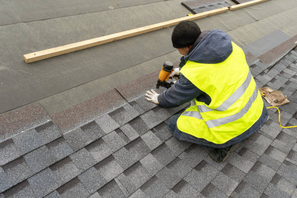 Best Roof Gutter Cleaning  in Putney, GA