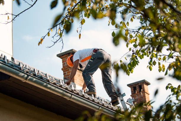 Roof Installation Near Me in Putney, GA
