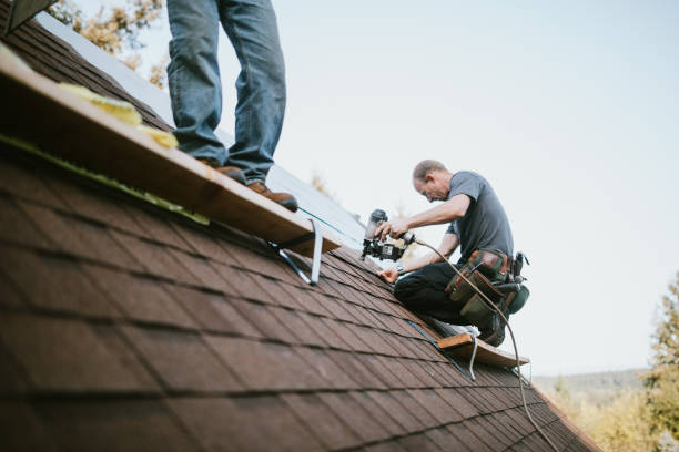 Best Gutter Installation and Roofing  in Putney, GA